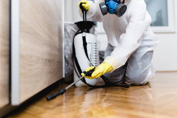 Best Rat Extermination Near Me  in West Union, IA