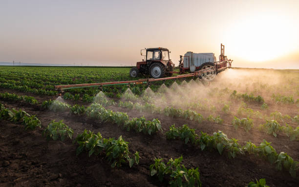 Best Local Pest Control Services  in West Union, IA
