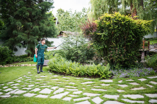 Best Pest Removal Services  in West Union, IA