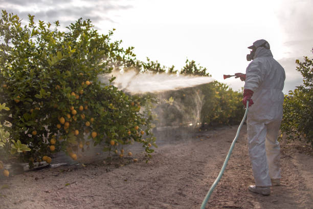 Best Emergency Pest Control  in West Union, IA