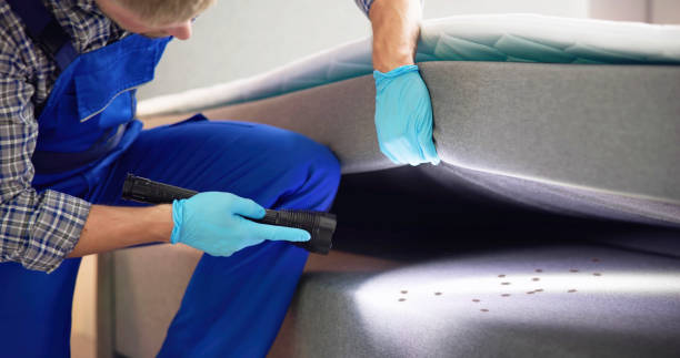 Best Pest Control Near Me  in West Union, IA