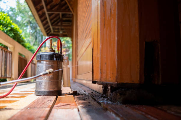 Best Affordable Pest Control Services  in West Union, IA