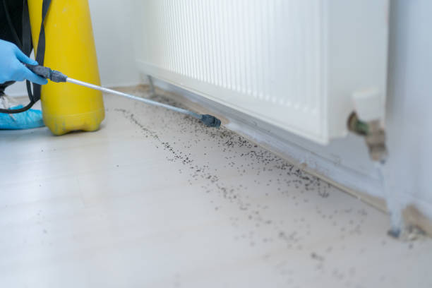 West Union, IA Pest Control Company